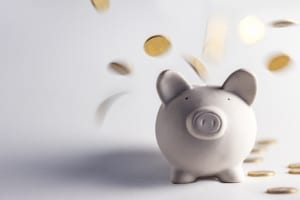 Für viele Künstler stellt die Ausschüttung der Verwertungsgesellschaft eine wichtige Einnahmequelle dar.