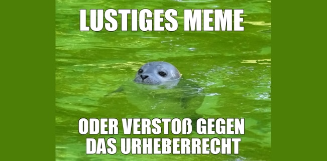 Verstoßen Memes gegen das Urheberrecht?