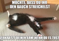 Das Ende von Memes? Die geplante Urheberrechtsreform wirft viele Fragen auf