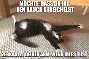 Das Ende von Memes? Die geplante Urheberrechtsreform wirft viele Fragen auf